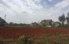 10,000 ft² Residential Land at Mhasibu Gardens Silver Birch Ruiru - 7