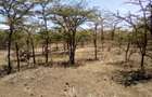 Land at Nanyuki - 8