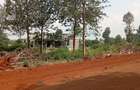 Land in Ruiru - 10