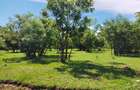 Land in Vipingo - 10