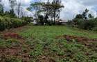 0.25 ac Residential Land at Baboon Cresent - 1
