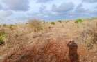 5,000 ft² Land at Malindi Muungano - 11