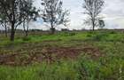 0.1 ha Residential Land at Thika Green - 2