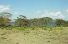 4 Bed House with En Suite at Kinja ( Oloiden - Naivasha ) - 11