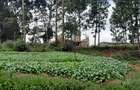 Residential Land at Kabuku Near St Paul University - 8