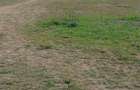 10 ac Commercial Property with Garden in Athi River - 6