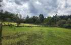 Land at Ngong - 1