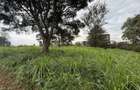 0.5 ac Land in Ruaka - 7