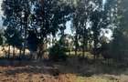1.5 ac Residential Land at Kibiko - Ngong - 13