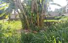 0.25 ac Land in Kikuyu Town - 1