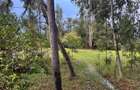 10 ac Commercial Land at Langata South Road - 7