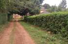 0.113 ac Residential Land in Ngong - 2