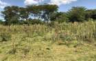139 ac Land in Naivasha - 1