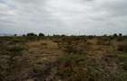 Land at Umma University - 5