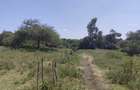 1 ac Land at Ndovu Road - 14