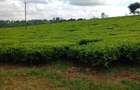 31 ac Land at Limuru Road - 7
