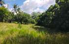 Land in Kilifi County - 17