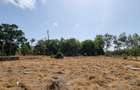 6 ac Land at Animo Mtwapa - 5