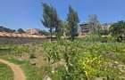 0.75 ac Land at Naivasha Road - 1