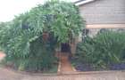 3 Bed House with En Suite in Runda - 8