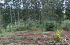 15 ac Land in Tigoni - 7