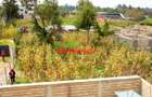 0.05 ha Residential Land in Kikuyu Town - 10