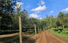 50 ft² Residential Land at Juja - 1