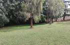 100 ac Land at Thika Road - 9
