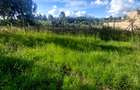 0.125 ac Land in Kamangu - 5