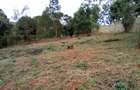 Land at Wangige - 1