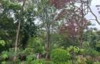 4 Bed House with En Suite at Off Ruaka Rd - 5