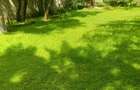 Land in Kilimani - 1