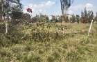 Residential Land at Karen Langata Road - 9