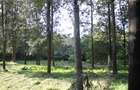 0.6 ha Land at Magadi Road - 11
