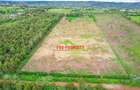 0.05 ha Residential Land at Thigio - 10