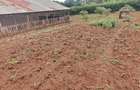 0.5 ac Land in Thome - 6