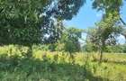 6 ac Land at Mtepeni - 5