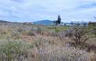 2 ac Land in Nanyuki - 7