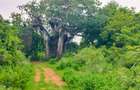 Land in Vipingo - 11