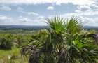 2.0 ac Land at Diani - 6
