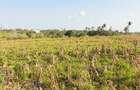 Land in Kilifi - 11