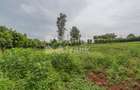 Land in Runda - 5