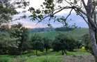 50 ft² Residential Land at Juja - 9