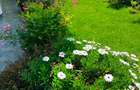 4 Bed Townhouse with En Suite in Kitisuru - 12
