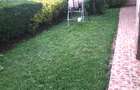 4 Bed Townhouse with En Suite in Kitisuru - 9