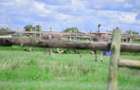 Residential Land at Kitengela Ostrich Farm - 7