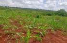 Residential Land at Mutuabare - 15