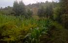 Land in Ngong - 1