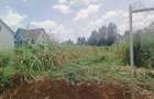 0.05 ac Land at Mushroom Kagera - 13