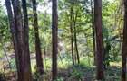 0.5 ac Land at Kirawa Road - 3